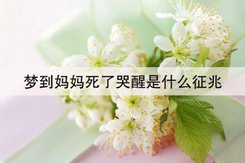 梦见去世的妈妈哭醒了