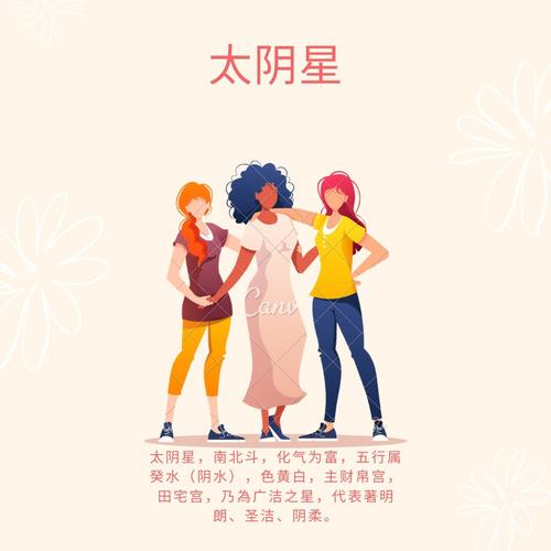 太阴星在兄弟宫