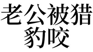梦见被豹子咬是什么意思