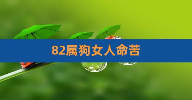 女孩子属狗命苦吗