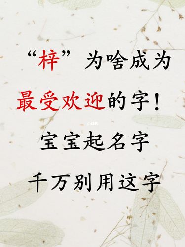 男孩带梓的名字