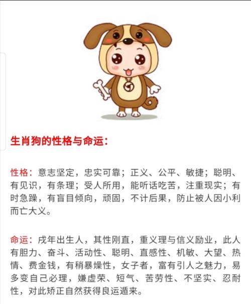 从生肖看命运好坏