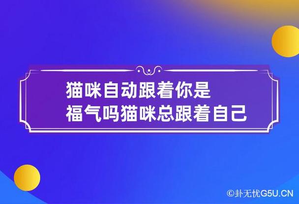 猫咪自动跟着你是福气吗