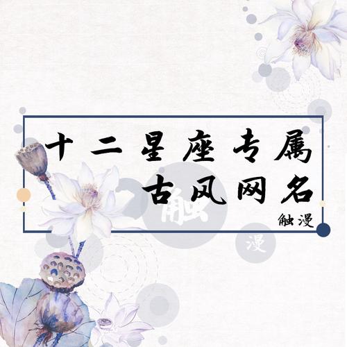 12月份摩羯座出生的男孩有风度有气质的名字