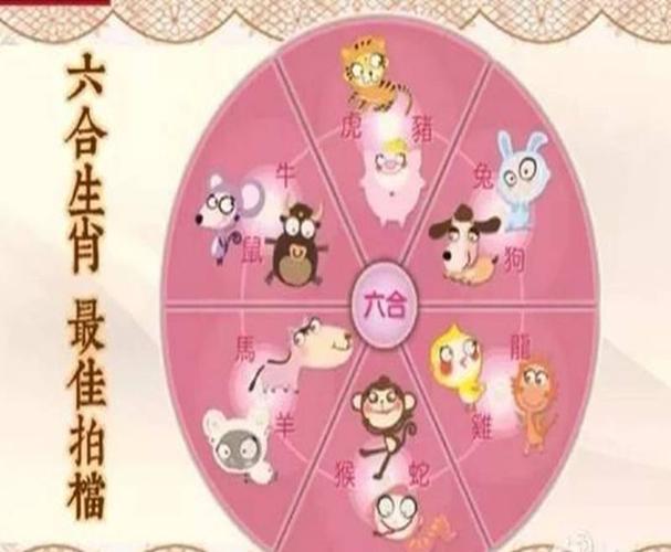 生肖属鼠的爸爸和什么生肖属相的孩子是六合,鼠和牛六合