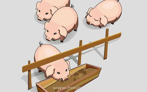 梦见建猪圈会不会不好