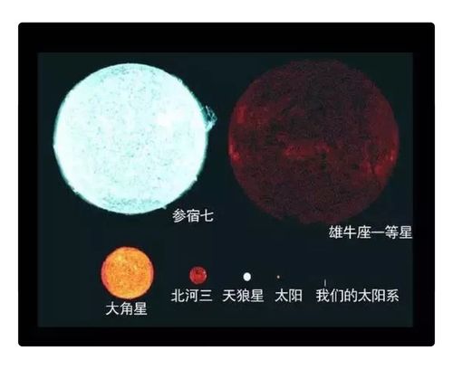 话说太阳星在子女宫究竟作何解释