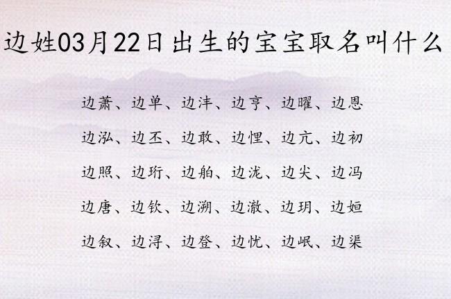 起名边姓男孩名字大全