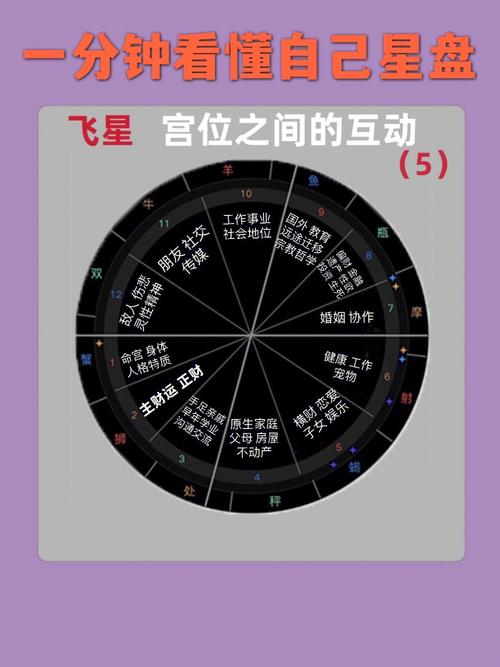 星盘第十一宫是什么星座
