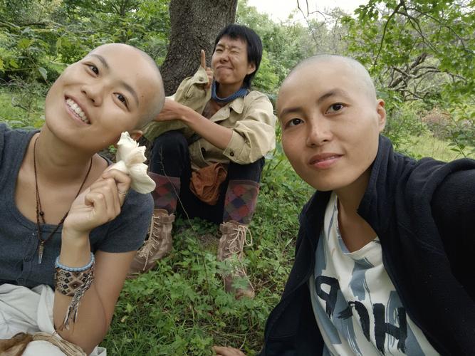 梦见上山采青头菌是什么意思