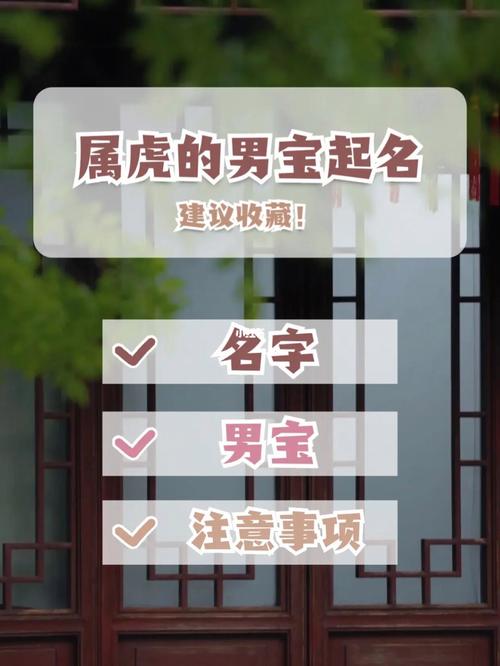 属虎男宝宝最吉利名字