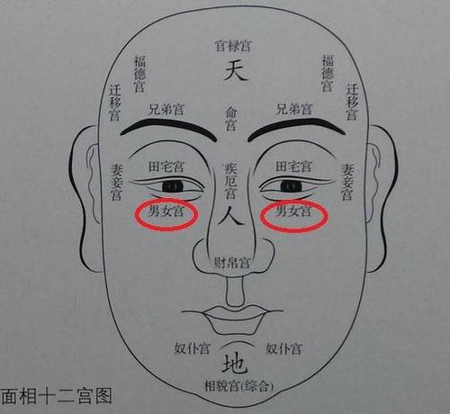 泪堂痣的相关情况解析