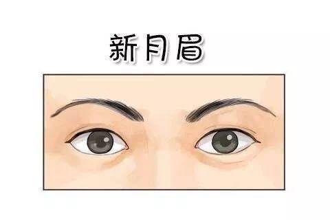面相眉毛对一个人的运势什么影响