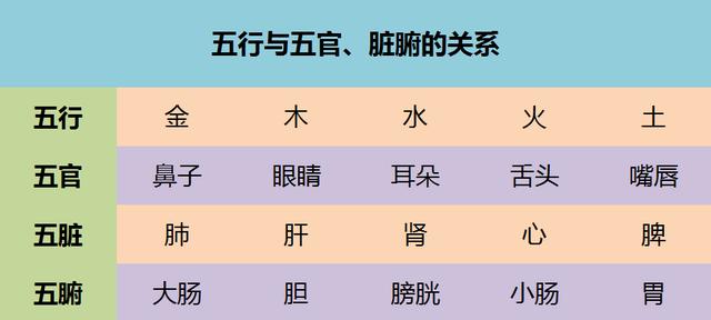 人的面部五官对应的内脏区都有哪些呢?