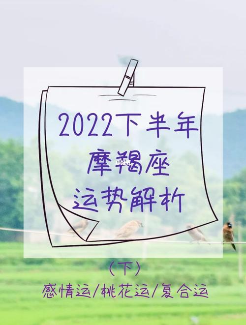 2023年下半年摩羯座桃花运详情