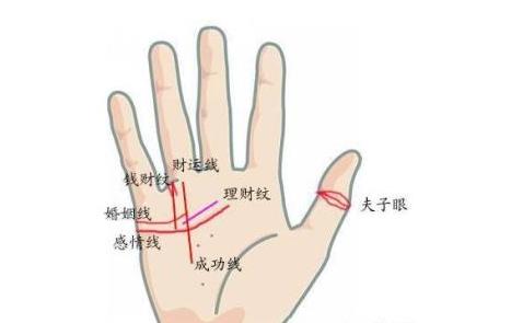 马云手相图解分析