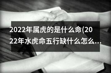 2022年水虎命取名字,2022年水虎命缺什么