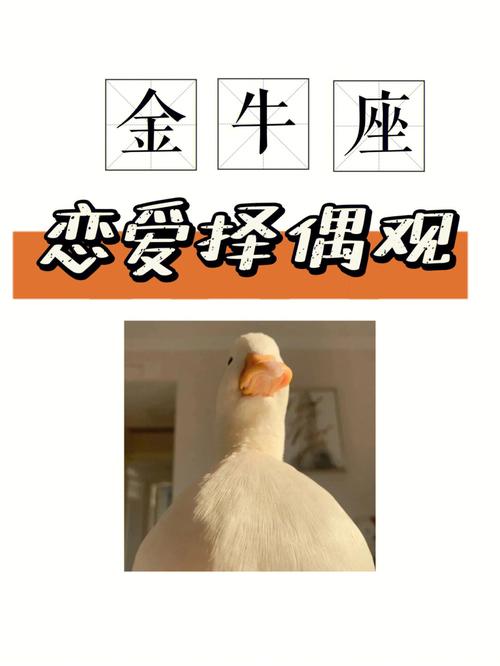 属牛人的择偶观