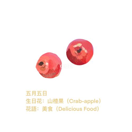 5月5日花语:山楂果,生日花语美食