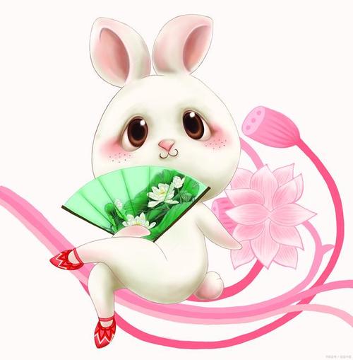 属兔如何过上高级生活
