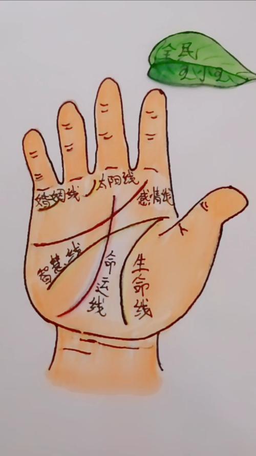 生命线的粗细深浅到底代表着什么?