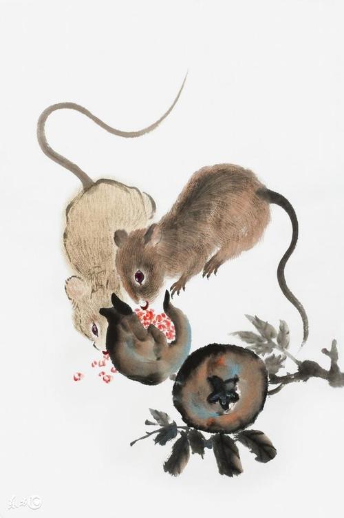 财运不俗,颇有成就的生肖