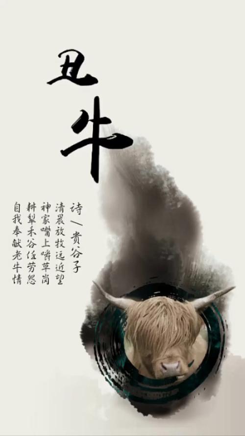 属牛手机里最舍不得删除的照片
