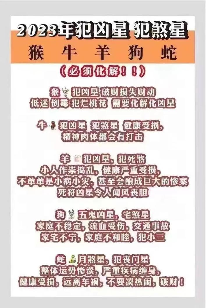 黑兔年对哪个生肖不利