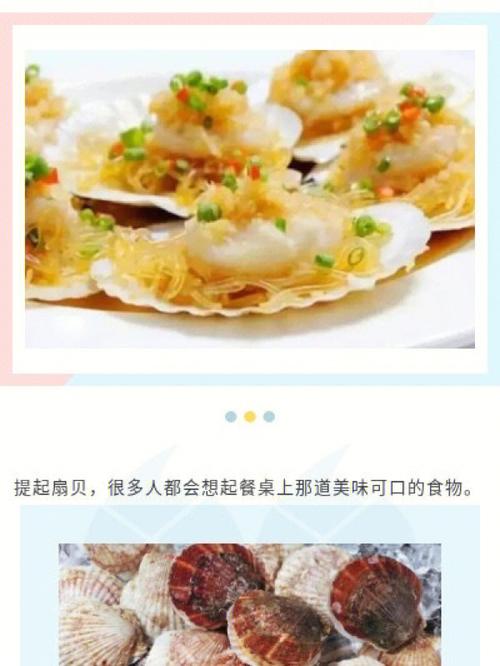 扇贝效应名词解释