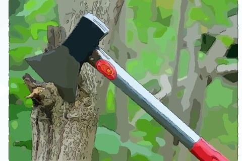 梦见偷树是什么意思