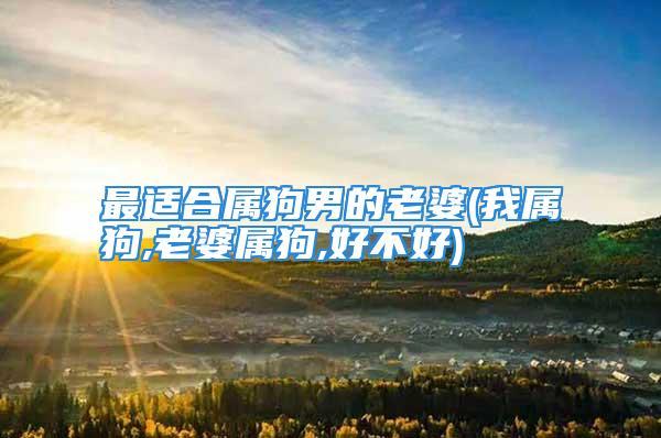 属狗婚后生活不幸福的原因
