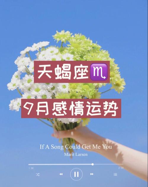 天蝎座♏️2023年运势