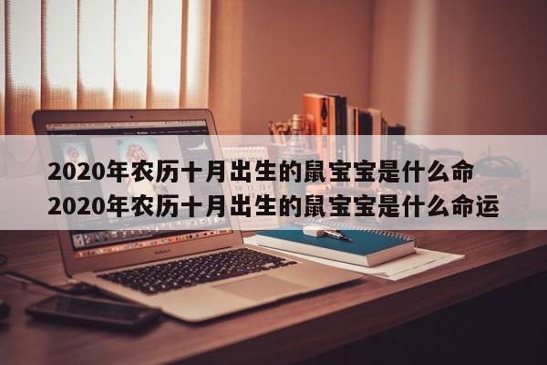十月出生的鼠宝宝据说命不好