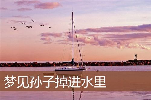 梦见黑鸡掉进水里