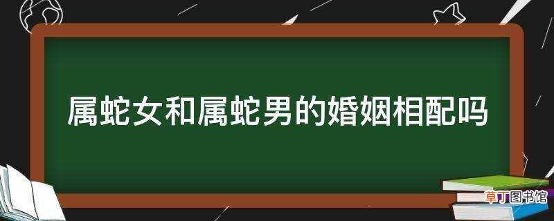 女属蛇男属蛇合适吗