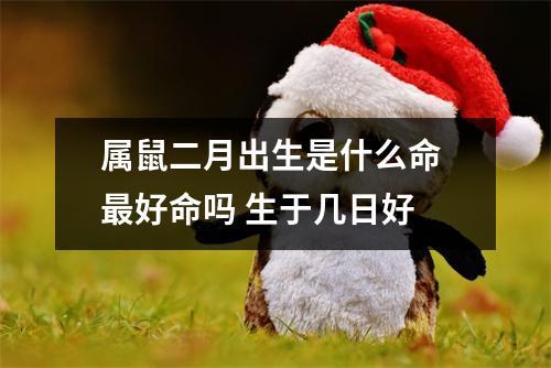 属鼠二月出生是什么命