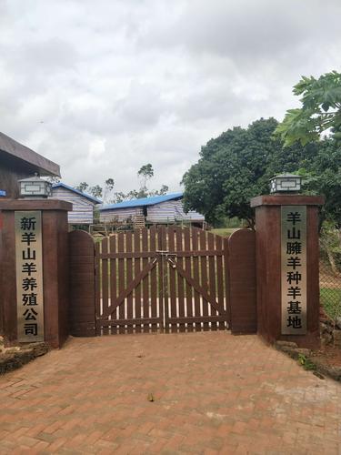 养羊的公司取什么名字
