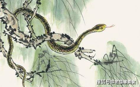11月中旬起,福入门,霉运退去,运势大涨,烦恼烟消云散3生肖