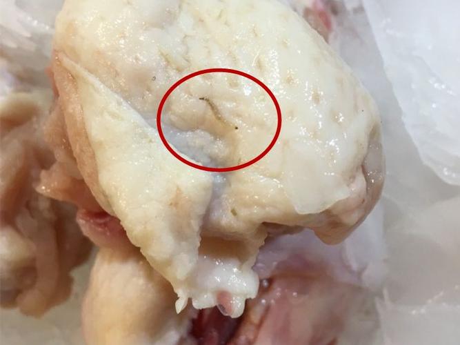 梦见鸡肉生蛆