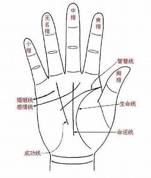 婚嫁线的图解大全