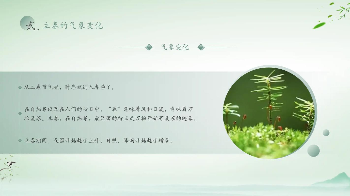 打春是什么意思