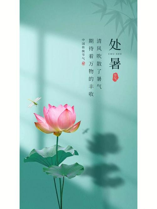 2021处暑节气出生的女孩名字集锦
