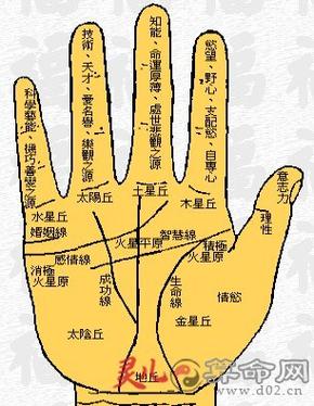 手掌痣看手掌纹路图解算命