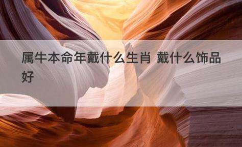 本命年 生肖属牛的人2021年会升职加薪吗