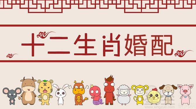 属虎的人爱一个人的表现