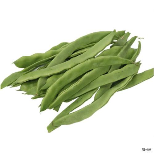 梦见摘梅豆