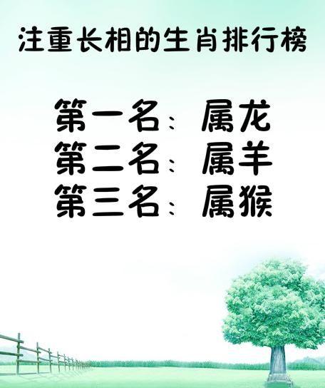 12生肖谁最不注重长相
