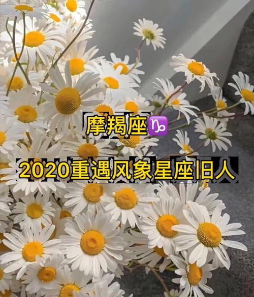 2020年摩羯座感情劫,移情别恋
