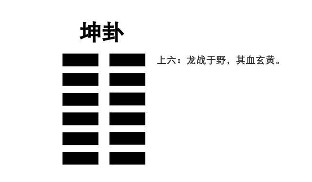 坤卦代表什么 坤卦代表什么动物