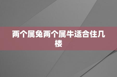 男属兔女属牛住几楼好?